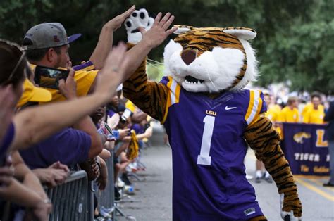 LSU's Fierce Feline: Exploring the Symbolism of the Tiger Mascot